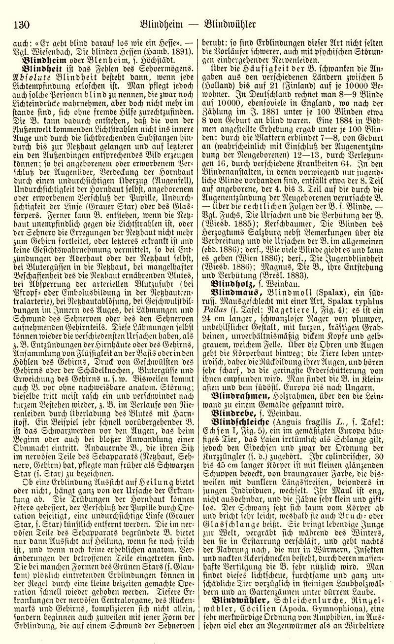 Brockhaus 1894