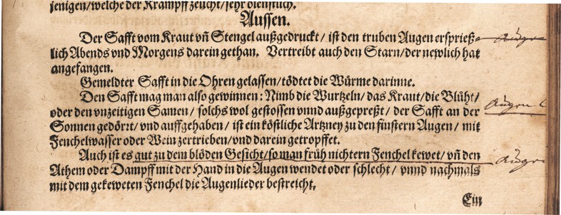 Kreutterbuch