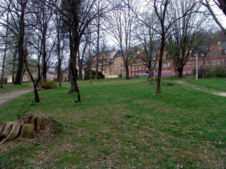 alter Hohensteiner Friedhof